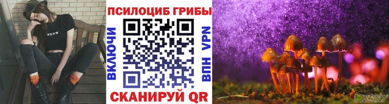 кракен рабочий сайт  где продают наркотики  Цоци-Юрт  Галлюциногенные грибы Psilocybine cubensis 