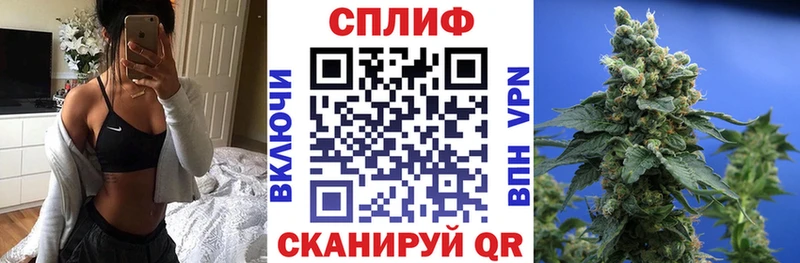 где найти наркотики  Цоци-Юрт  Бошки Шишки ГИДРОПОН 